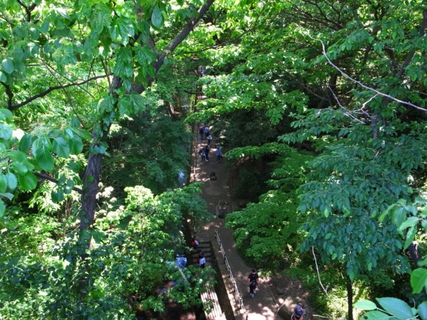 f:id:highrise:20150510125640j:image f:id:highrise:20150510125640j:image