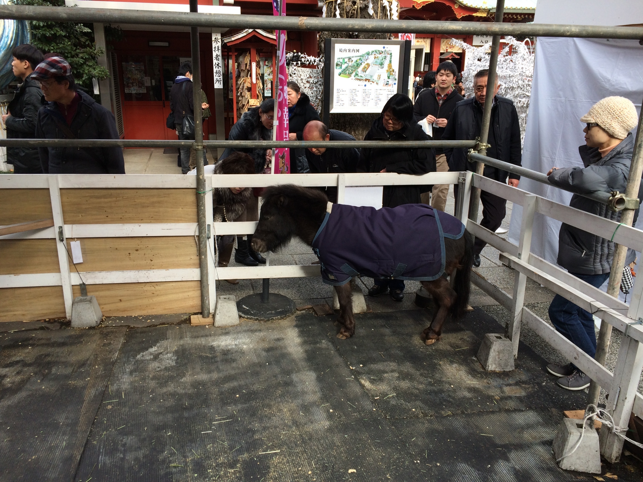 f:id:highrise:20160131134533j:image:w1024