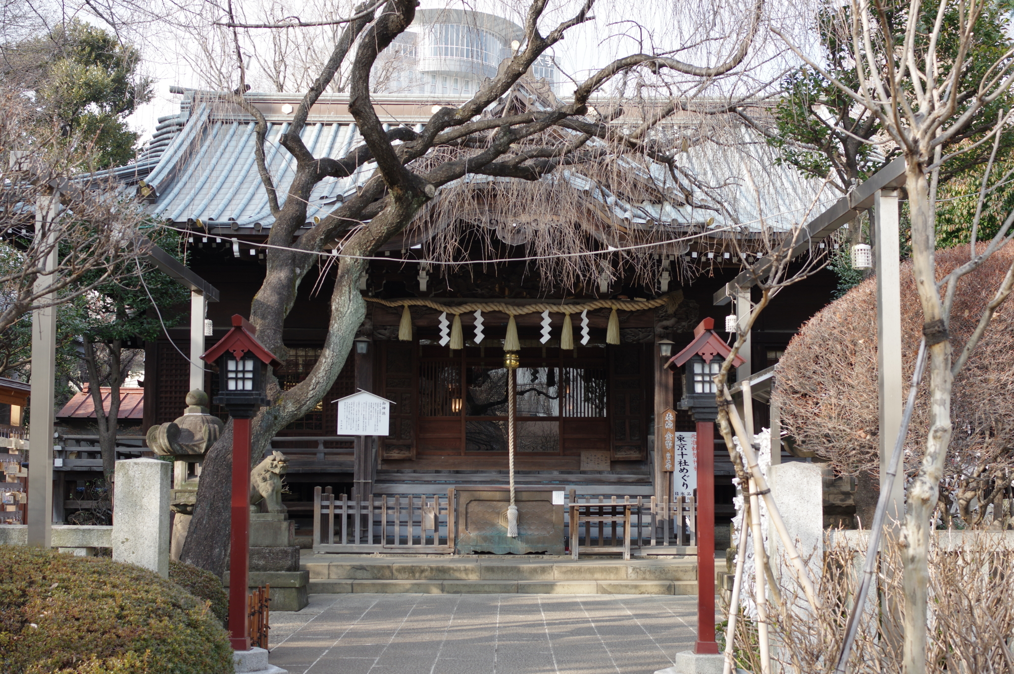 f:id:highrise:20160131145157j:image:w1024