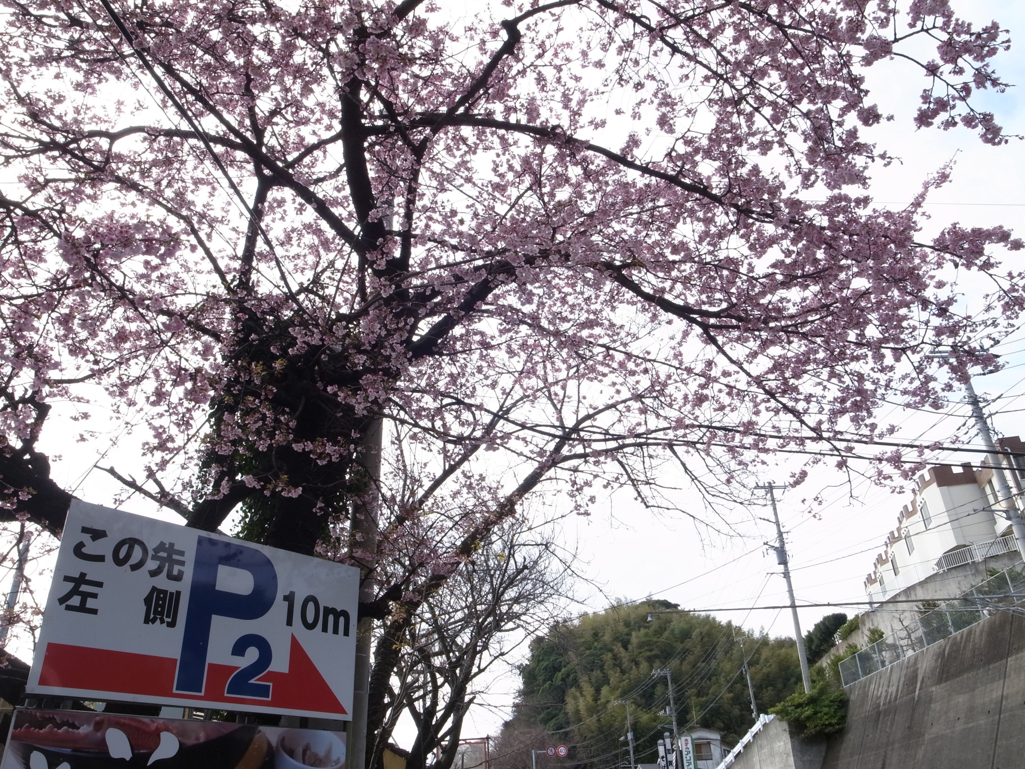 f:id:highrise:20160312090816j:image:w1024 f:id:highrise:20160312090816j:image:w1024