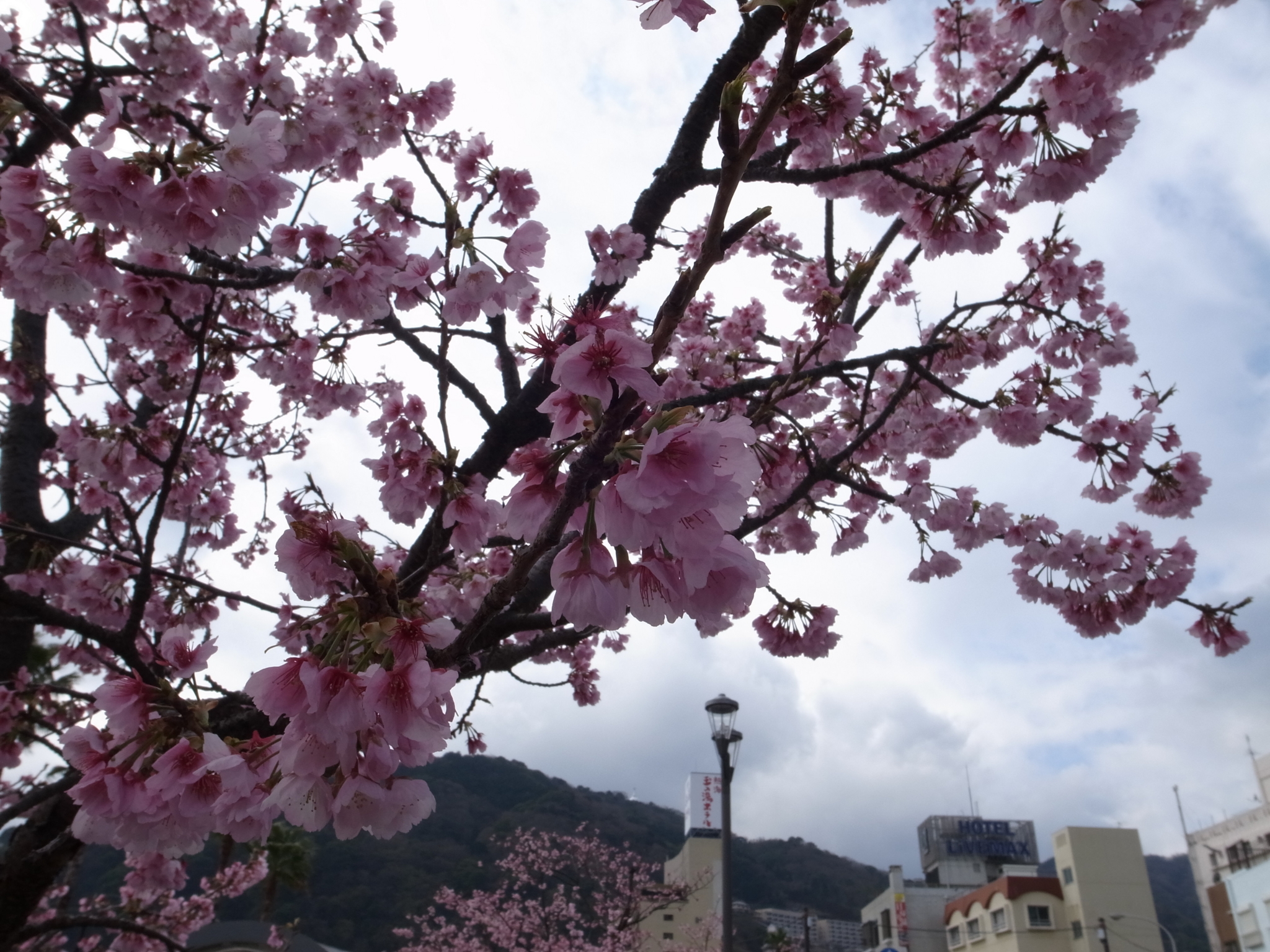 f:id:highrise:20160312094211j:image:w1024 f:id:highrise:20160312094211j:image:w1024