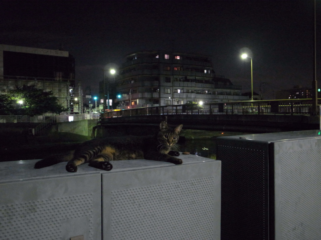 f:id:highrise:20160904203404j:image:w1024