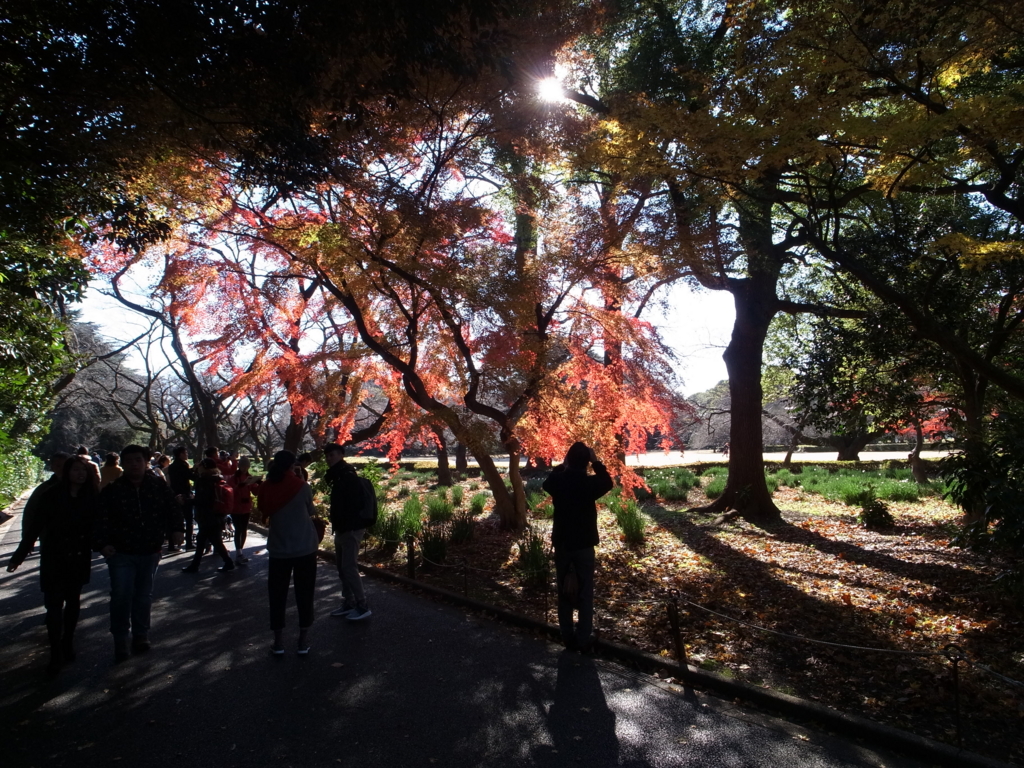 f:id:highrise:20161210114502j:image:w1024