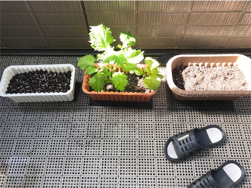 f:id:highso:20180709084817j:image