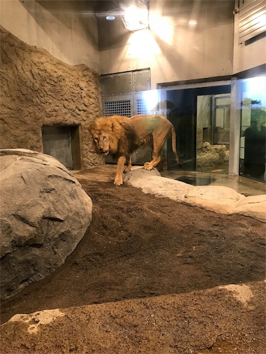 f:id:highso:20180819213023j:image