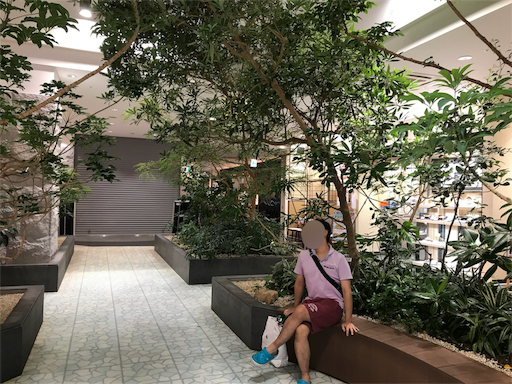 f:id:highso:20180917235108p:image