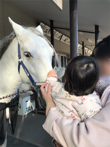 f:id:highso:20191201002936p:image f:id:highso:20191201002936p:image