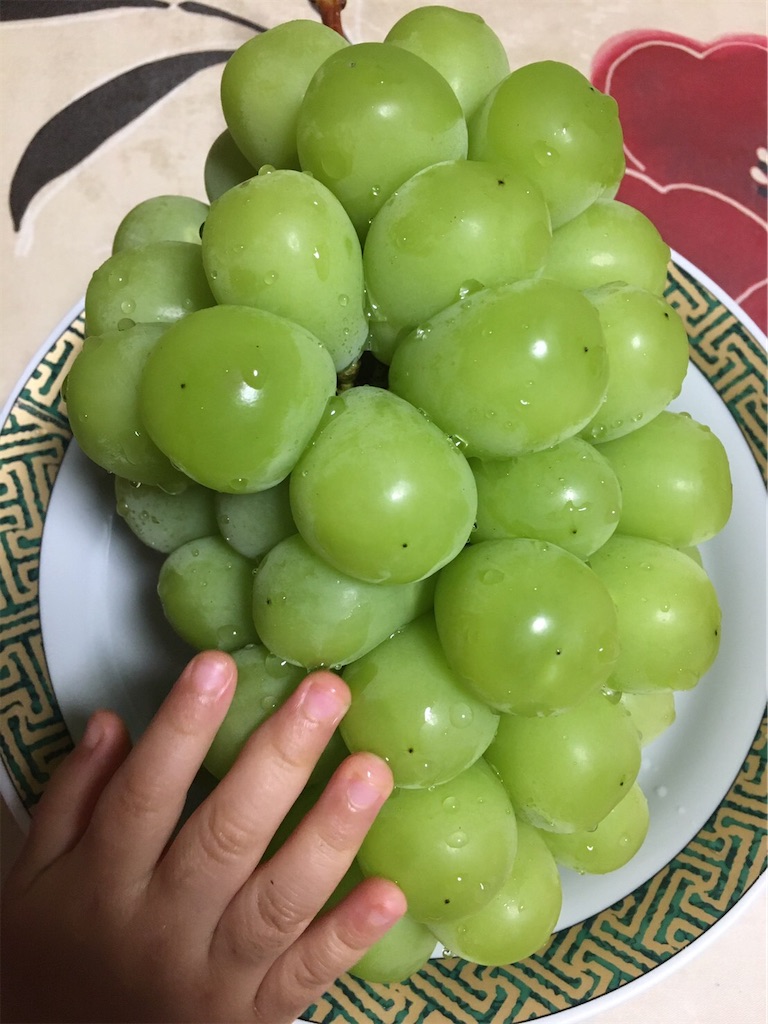 f:id:highso:20201004130615j:image f:id:highso:20201004130615j:image