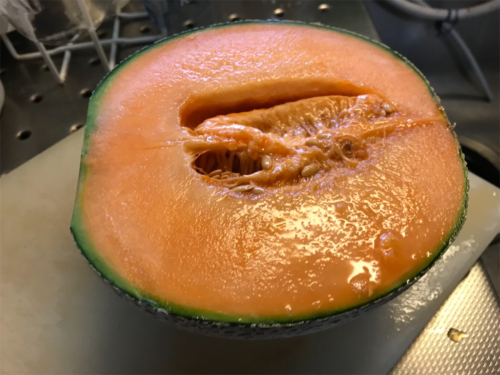 f:id:highso:20201018145141j:image f:id:highso:20201018145141j:image