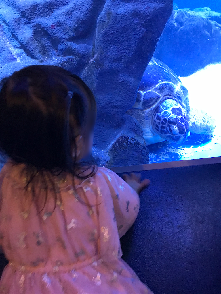 f:id:highso:20220618194046p:image