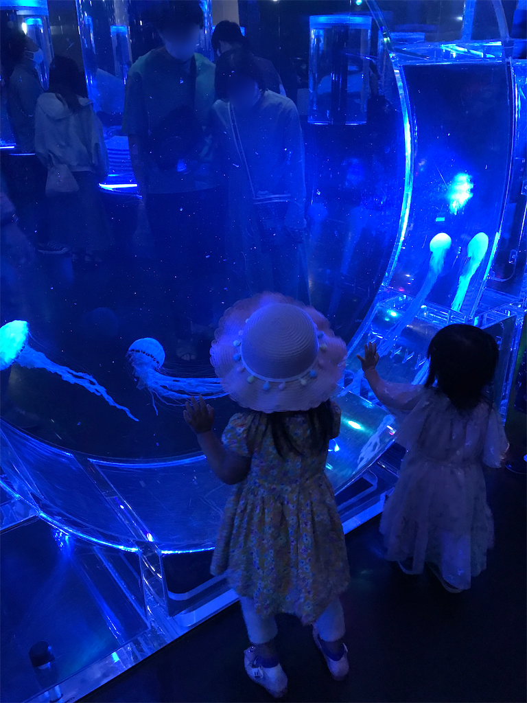 f:id:highso:20220618194118p:image