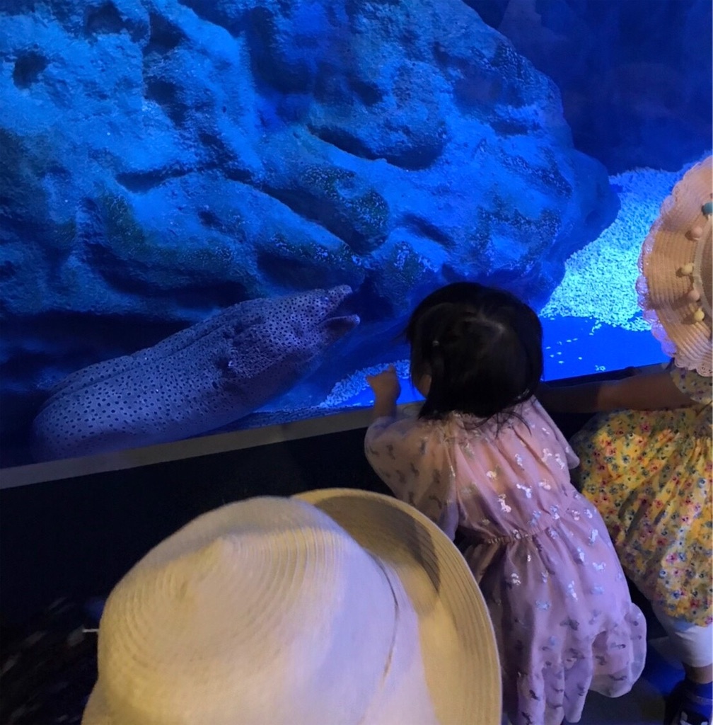 f:id:highso:20220618204731j:image