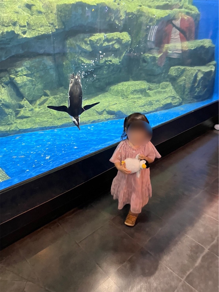 f:id:highso:20220618204748j:image