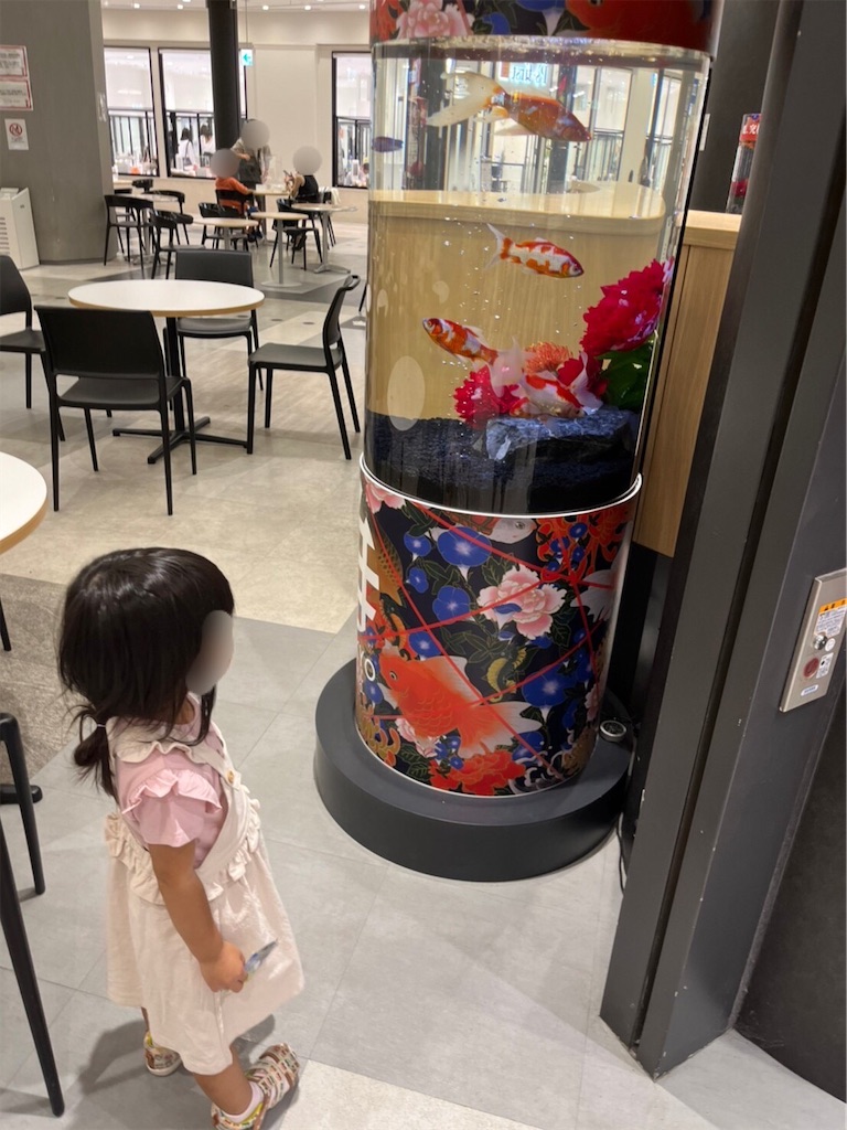 f:id:highso:20220827135656j:image f:id:highso:20220827135656j:image