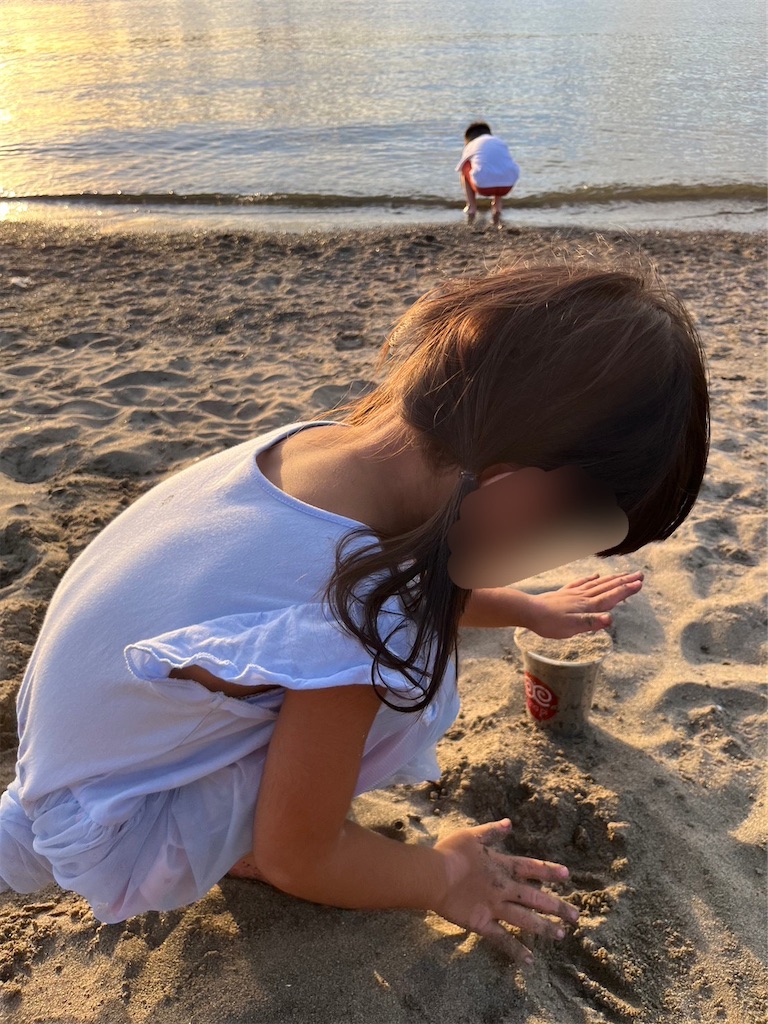 f:id:highso:20230819235556j:image f:id:highso:20230819235556j:image