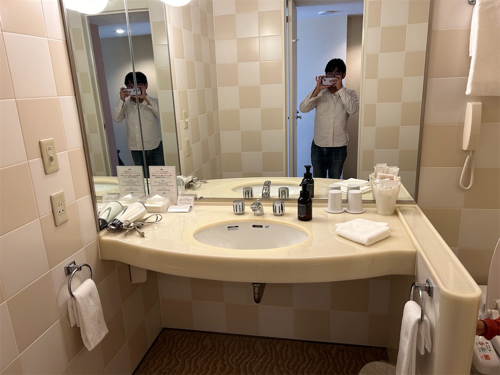 f:id:highso:20240115003721j:image