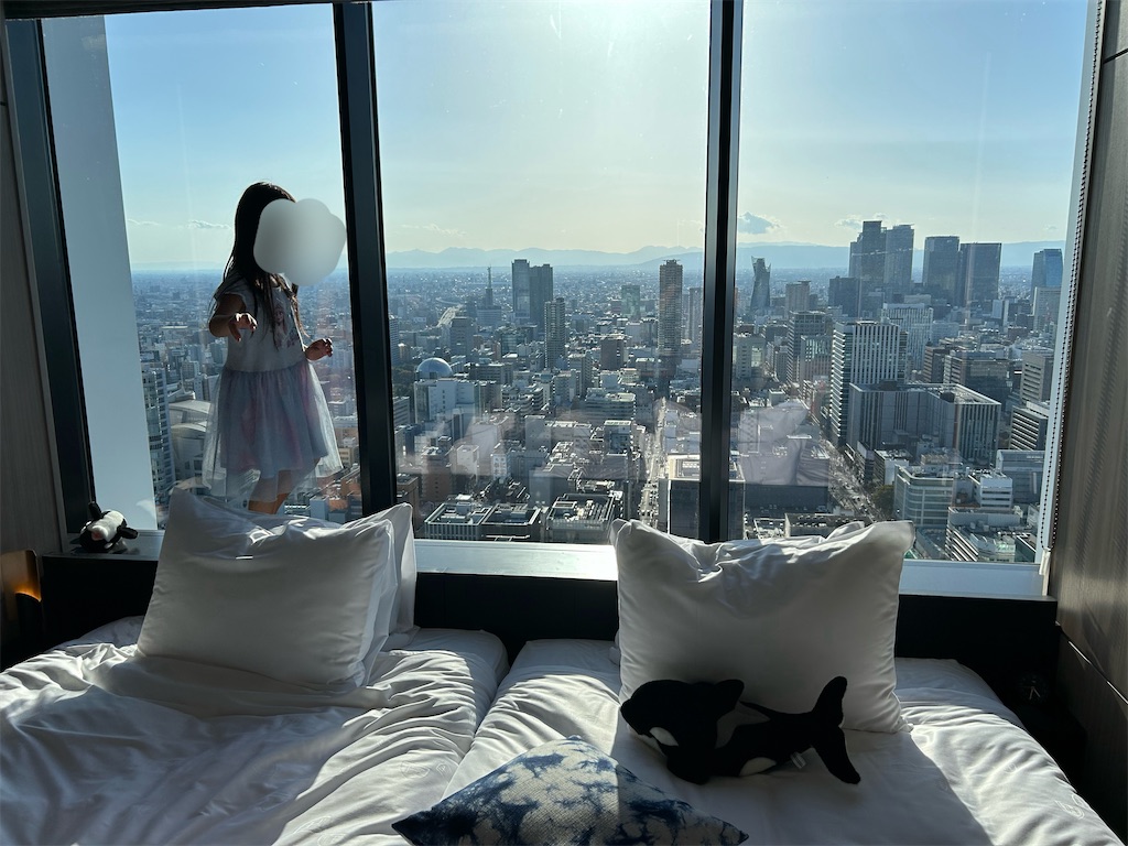 f:id:highso:20240501005310j:image