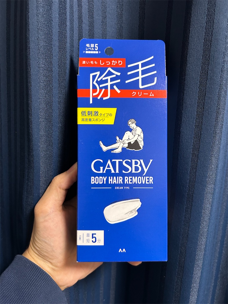 f:id:highso:20241214202944j:image