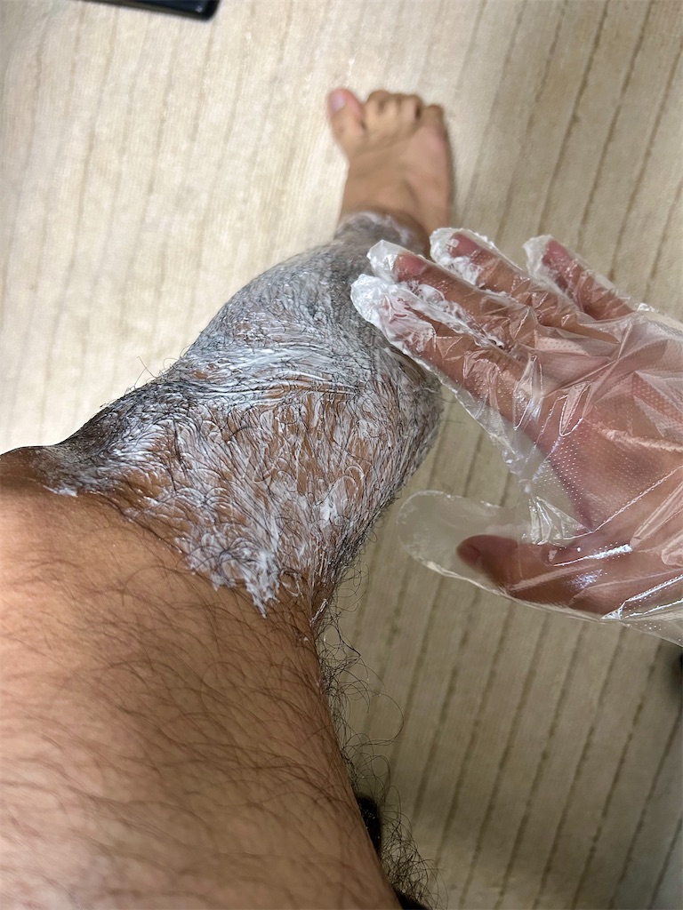 f:id:highso:20241214202951j:image