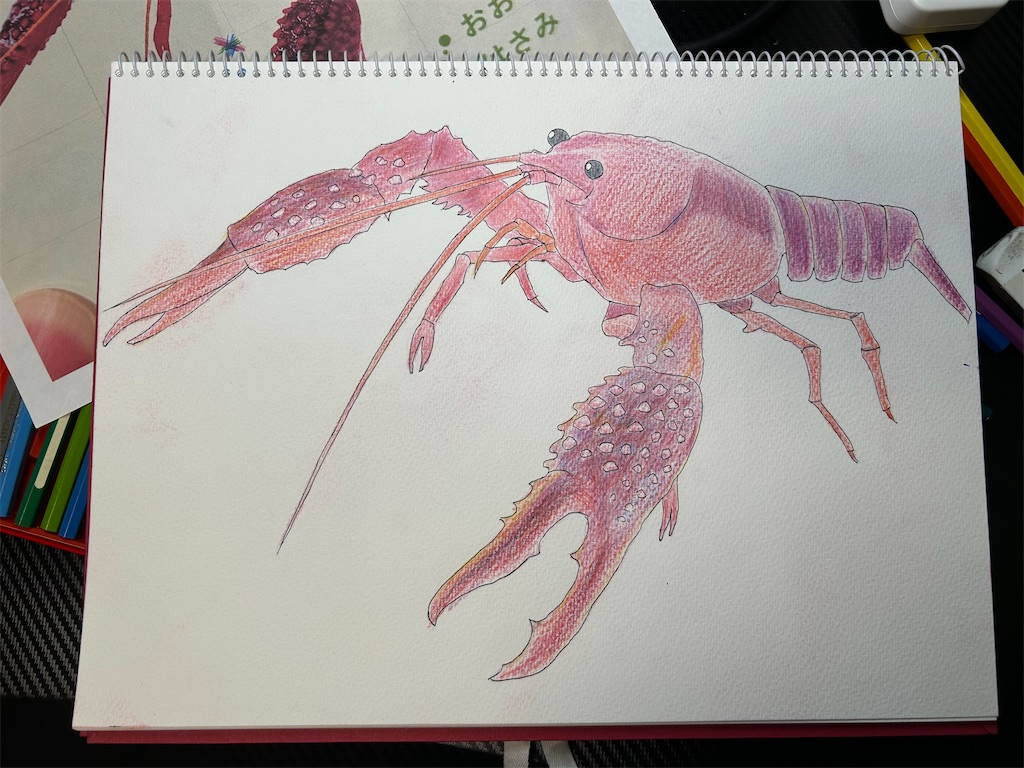 f:id:highso:20241228210528j:image