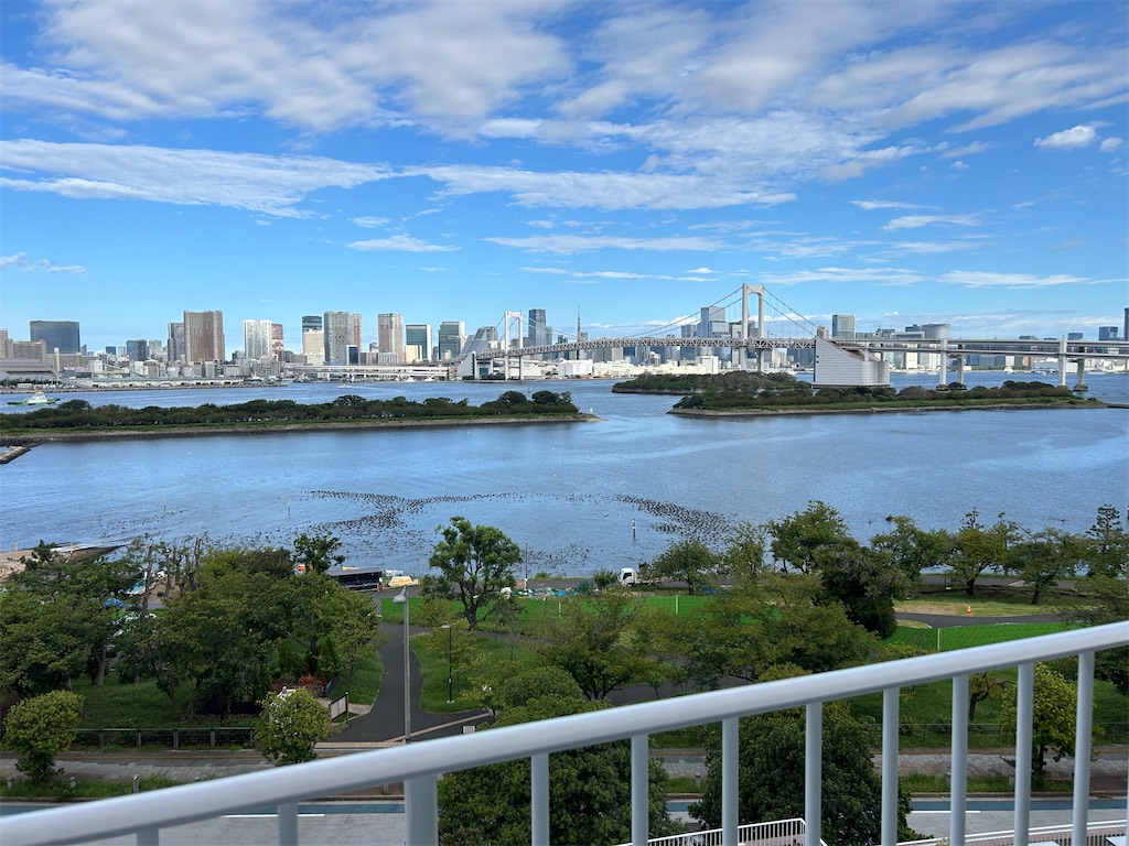 f:id:highso:20251026205045j:image