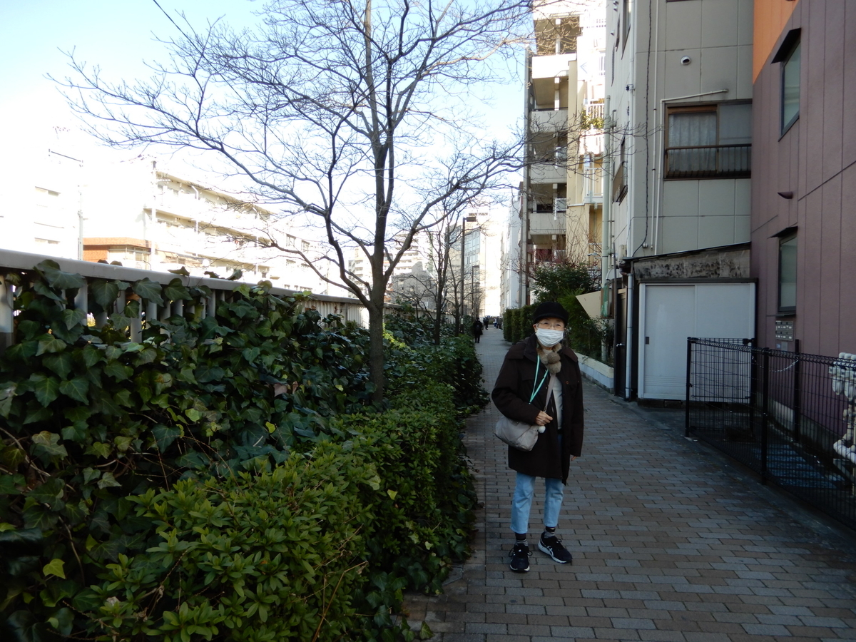 f:id:highupthesky:20210223135640j:plain