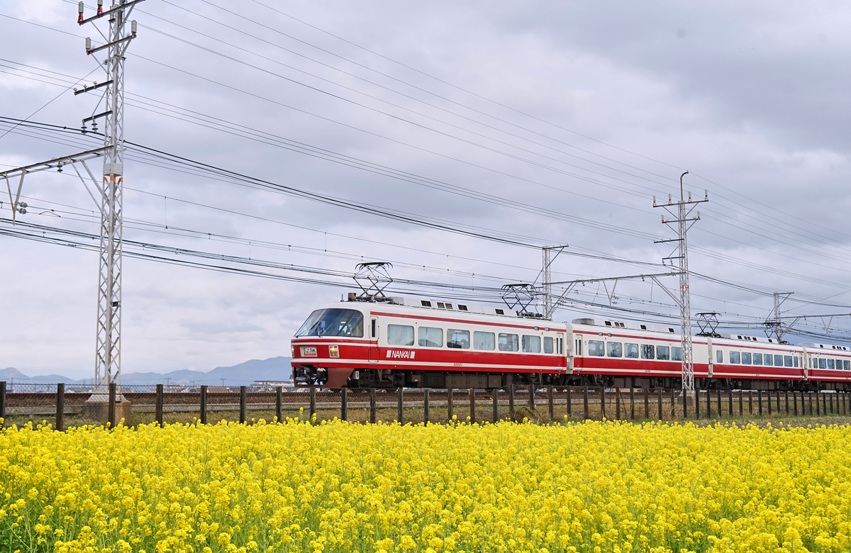 f:id:highwill_p:20190322003139j:plain f:id:highwill_p:20190322003139j:plain