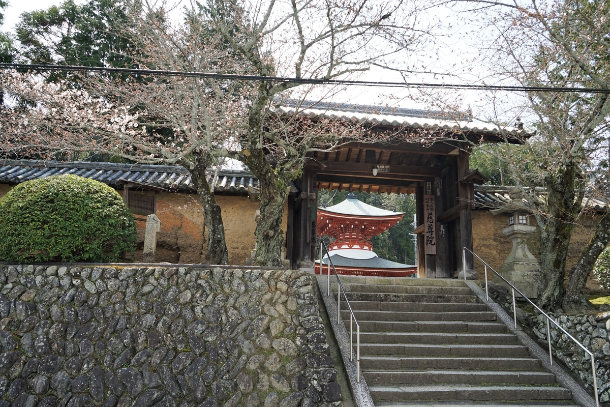 f:id:highwill_p:20190329203617j:plain f:id:highwill_p:20190329203617j:plain