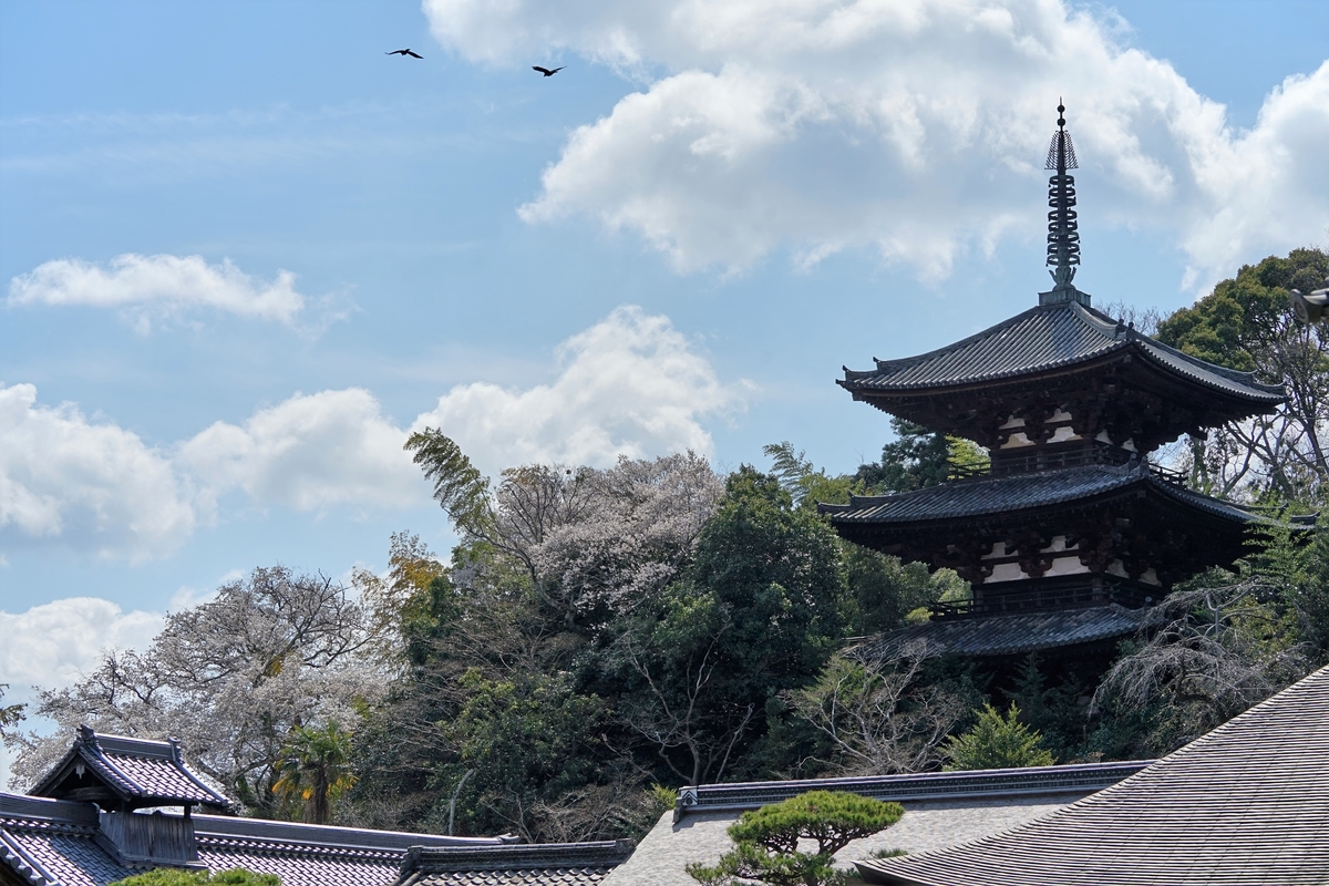 f:id:highwill_p:20190402174537j:plain f:id:highwill_p:20190402174537j:plain