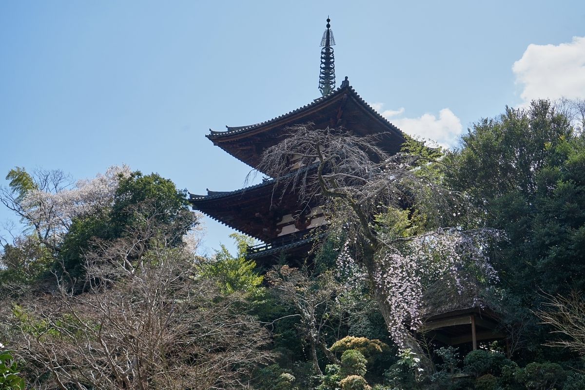 f:id:highwill_p:20190402174709j:plain f:id:highwill_p:20190402174709j:plain