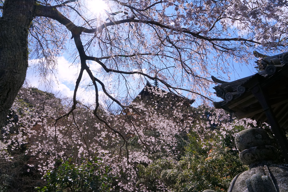 f:id:highwill_p:20190402180333j:plain f:id:highwill_p:20190402180333j:plain