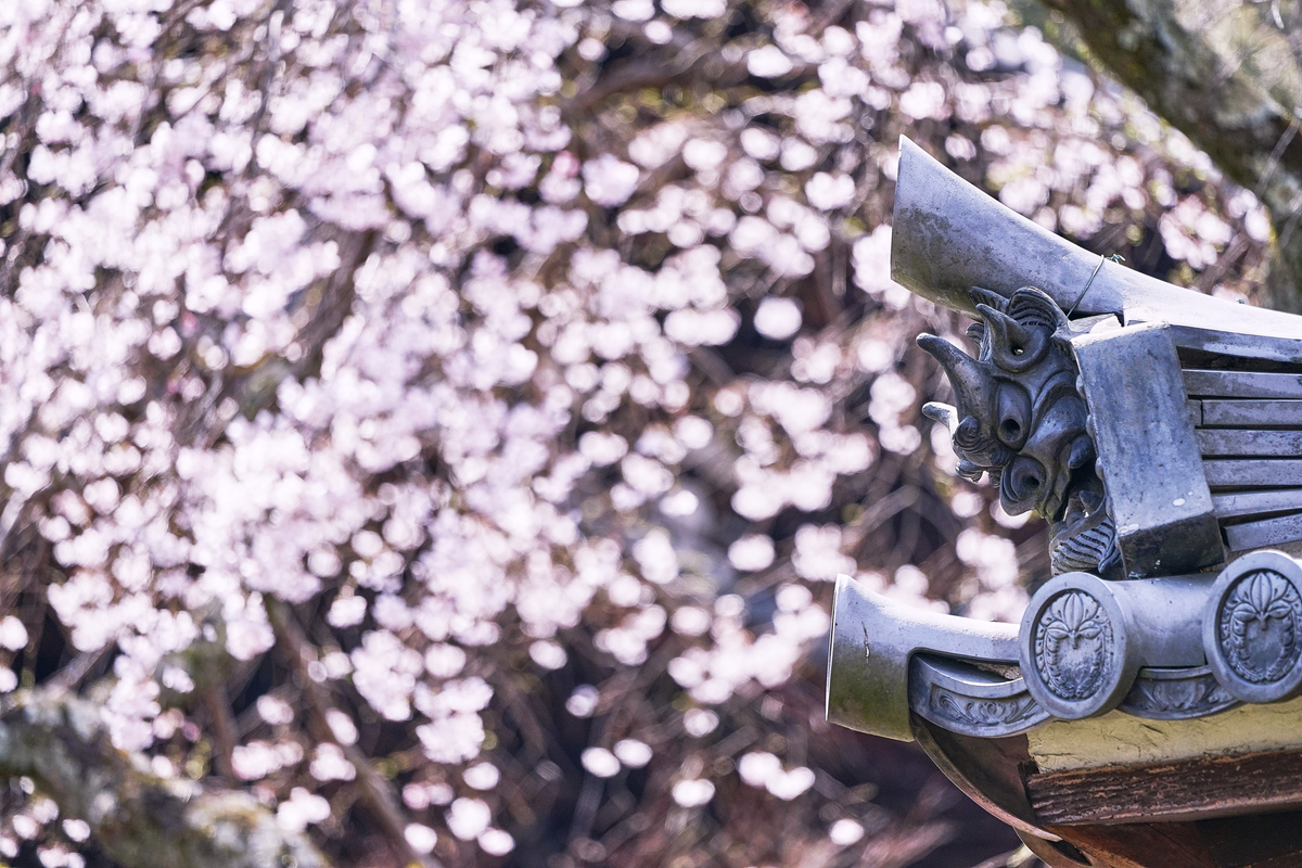 f:id:highwill_p:20190402180520j:plain f:id:highwill_p:20190402180520j:plain