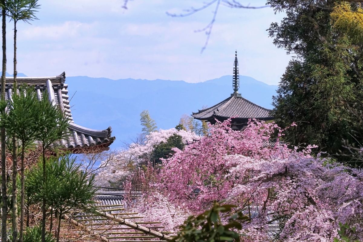 f:id:highwill_p:20190402180619j:plain f:id:highwill_p:20190402180619j:plain
