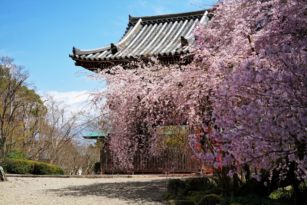 f:id:highwill_p:20190402181004j:plain f:id:highwill_p:20190402181004j:plain