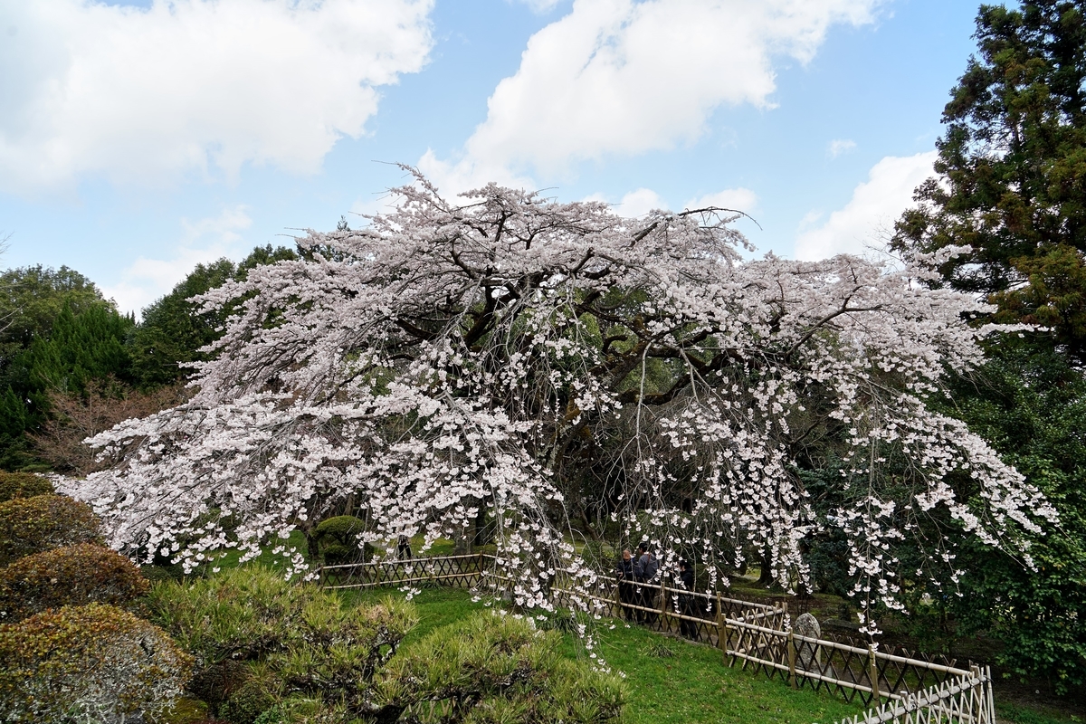 f:id:highwill_p:20190402181148j:plain f:id:highwill_p:20190402181148j:plain