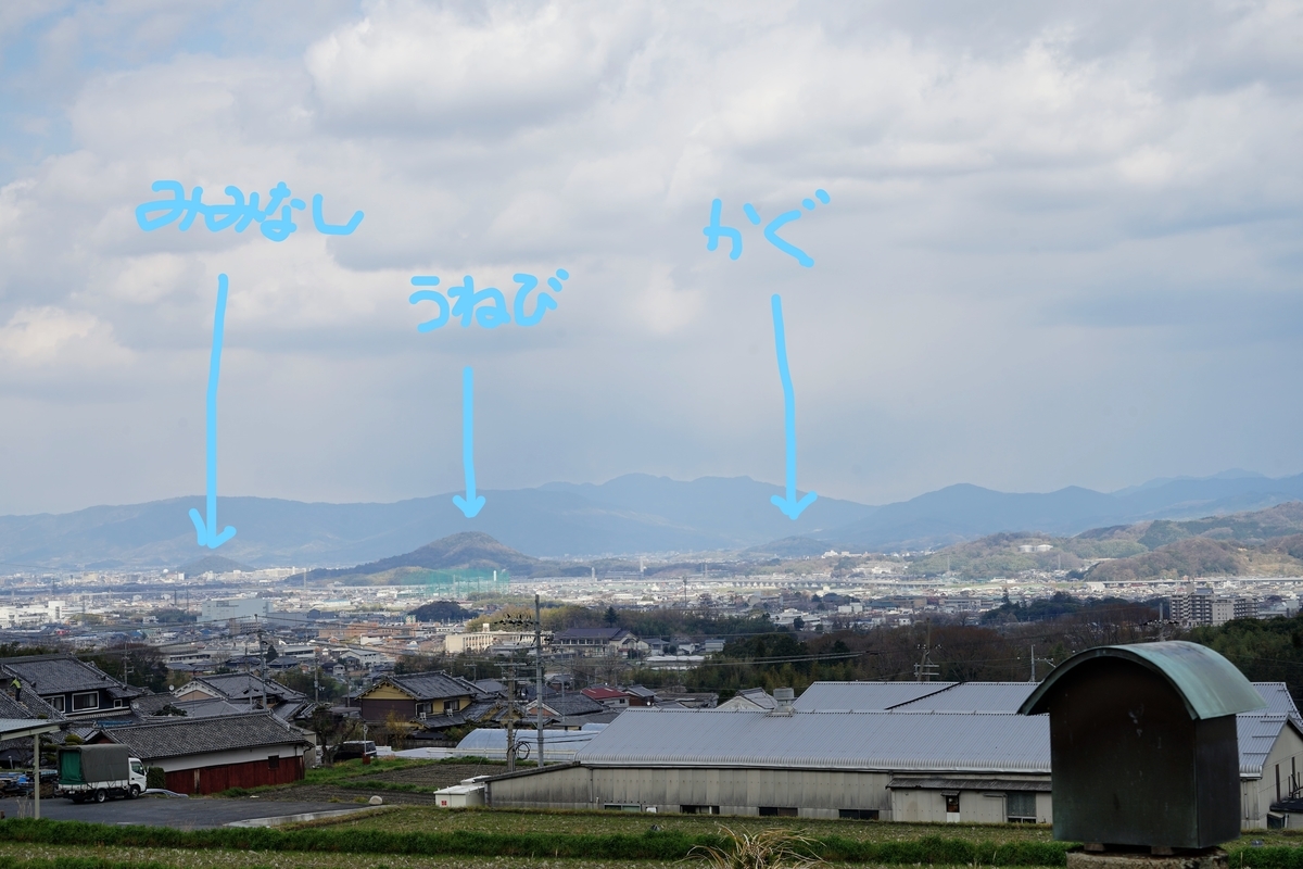 f:id:highwill_p:20190402181621j:plain f:id:highwill_p:20190402181621j:plain
