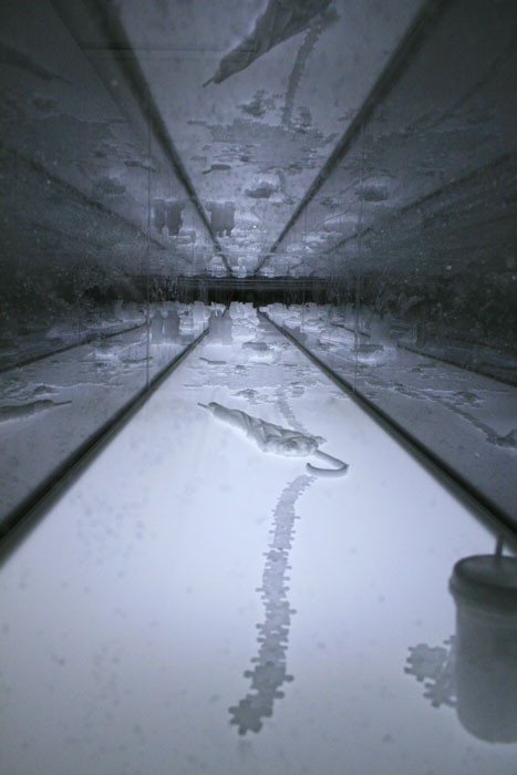 f:id:higuchi1967:20121014001738j:image