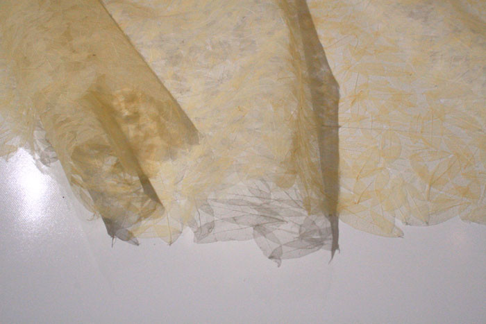 f:id:higuchi1967:20121014001742j:image