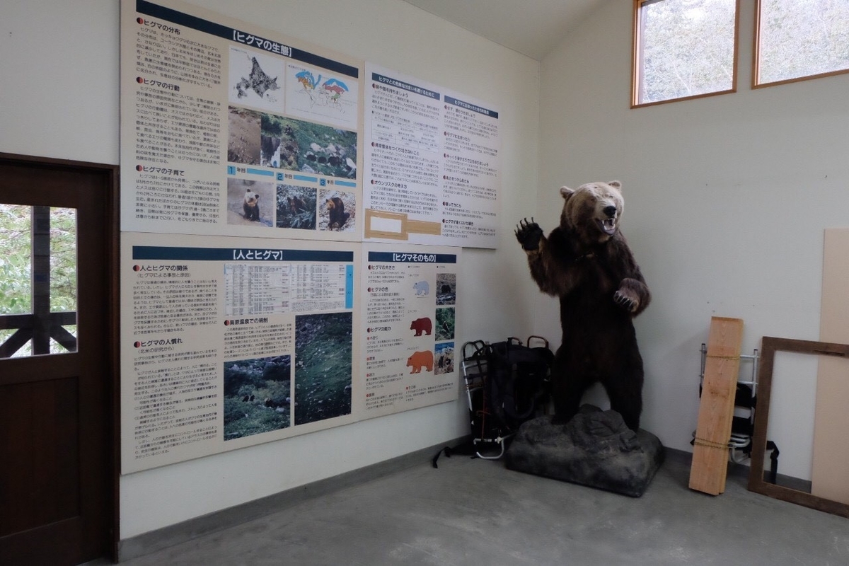 f:id:higuma-center:20191101175730j:plain f:id:higuma-center:20191101175730j:plain