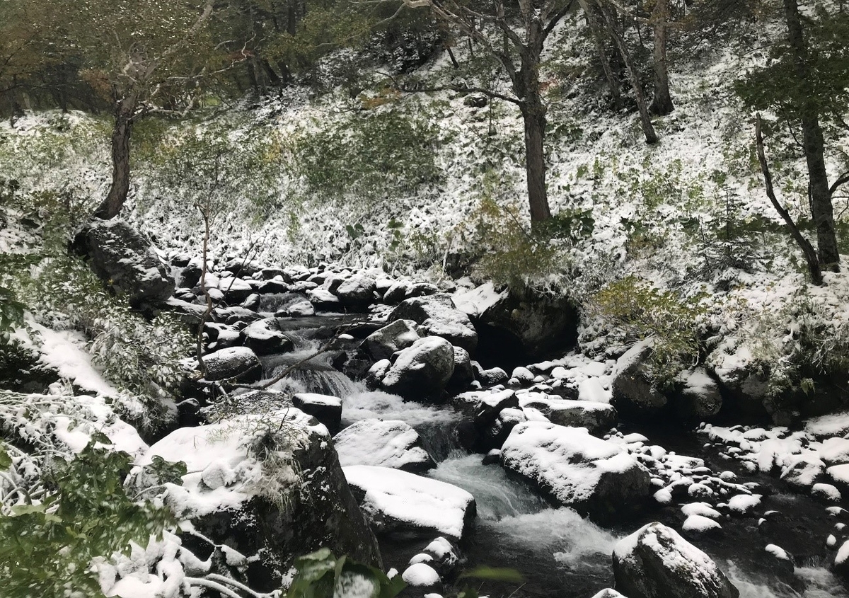 f:id:higuma-center:20191101180106j:plain f:id:higuma-center:20191101180106j:plain