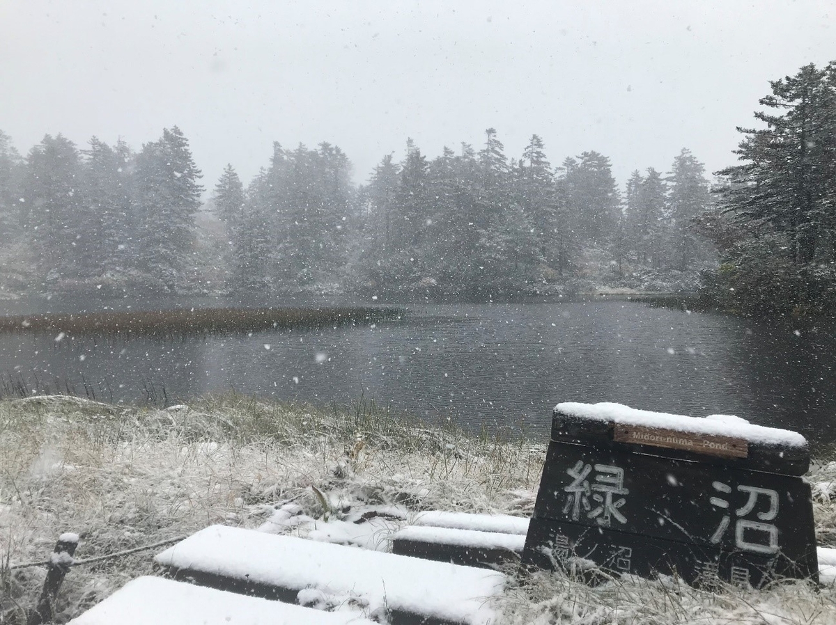 f:id:higuma-center:20191101180157j:plain f:id:higuma-center:20191101180157j:plain