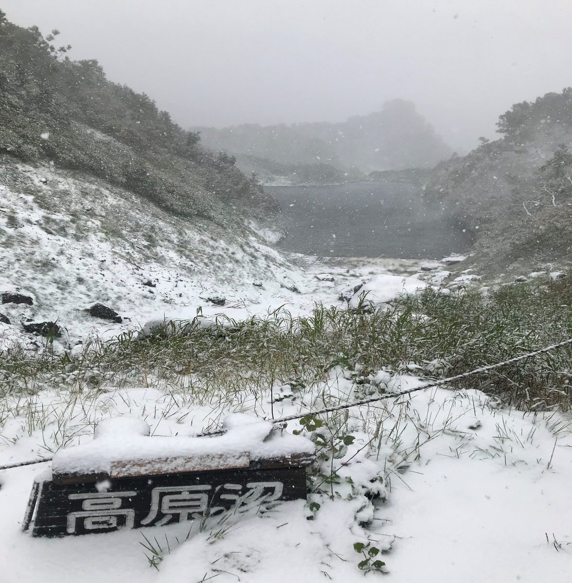 f:id:higuma-center:20191101180524j:plain f:id:higuma-center:20191101180524j:plain