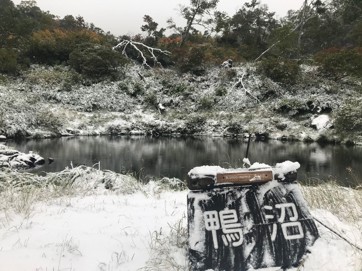f:id:higuma-center:20191101180634j:plain f:id:higuma-center:20191101180634j:plain