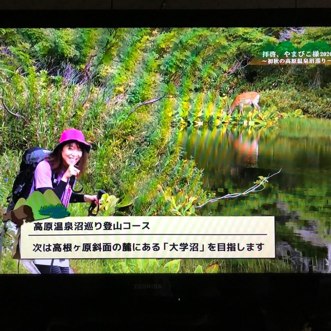 f:id:higuma-center:20201129005801j:plain