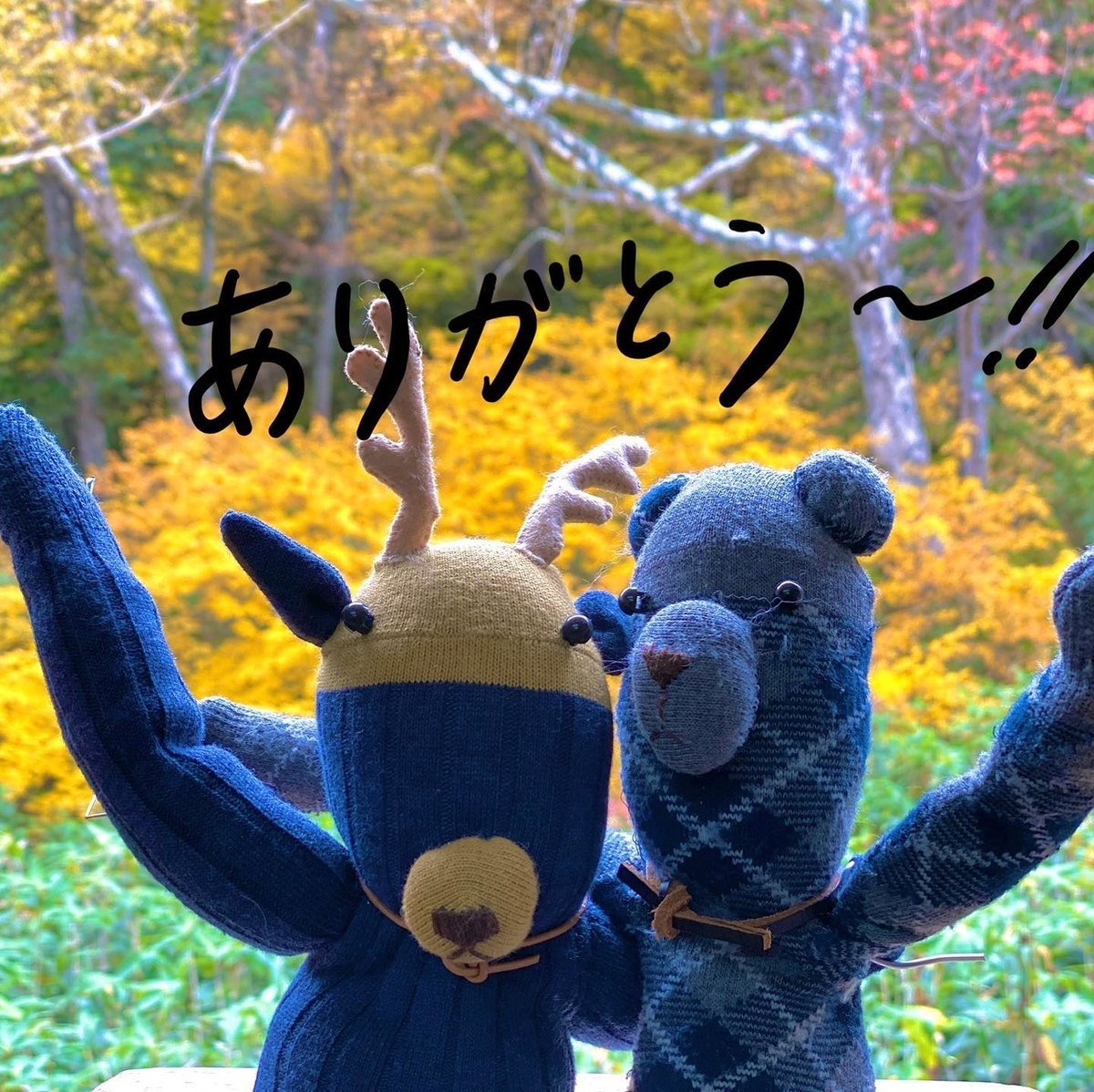 f:id:higuma-center:20201129010402j:plain