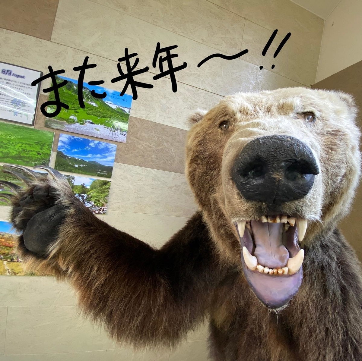 f:id:higuma-center:20201129010415j:plain