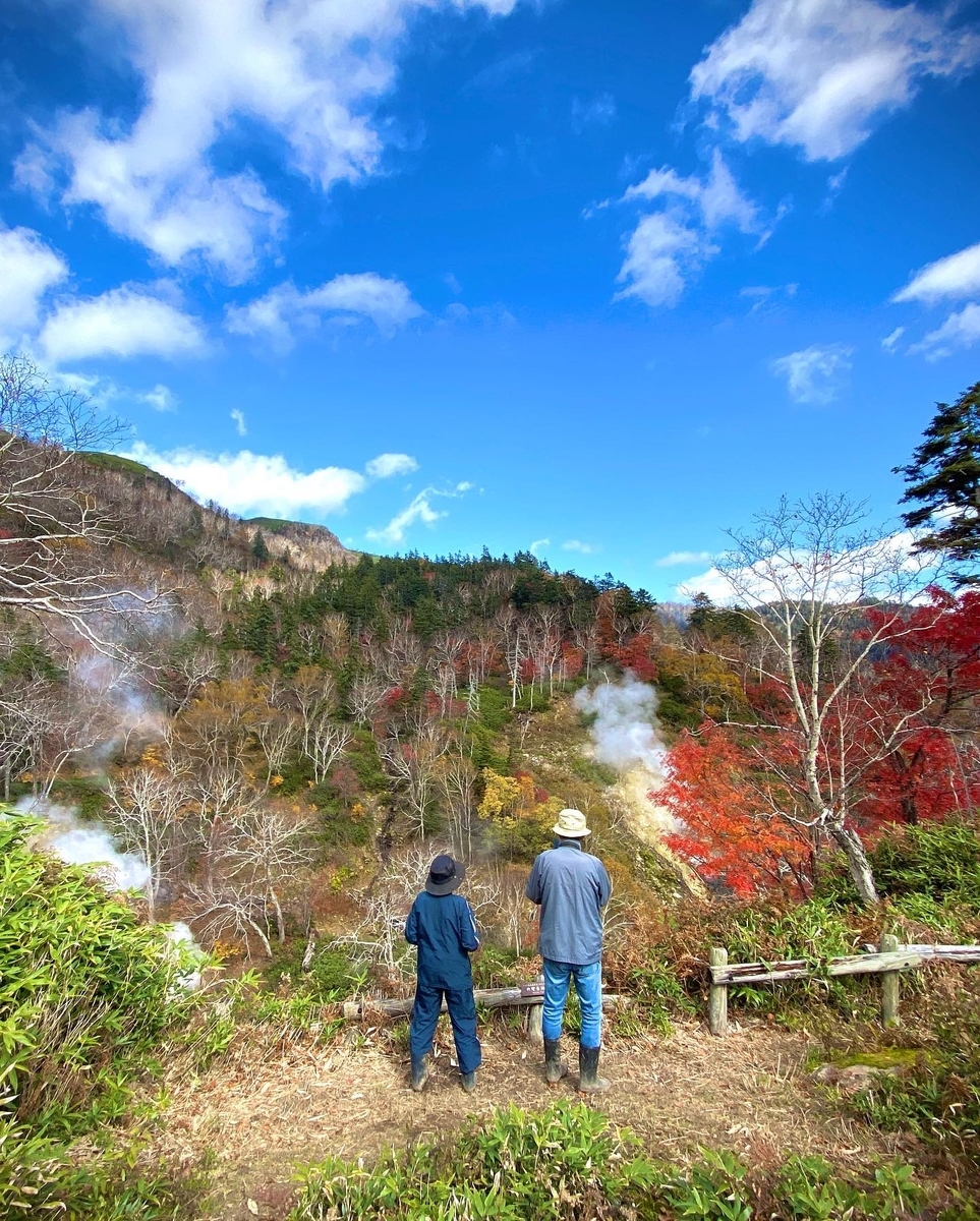 f:id:higuma-center:20201129010818j:plain