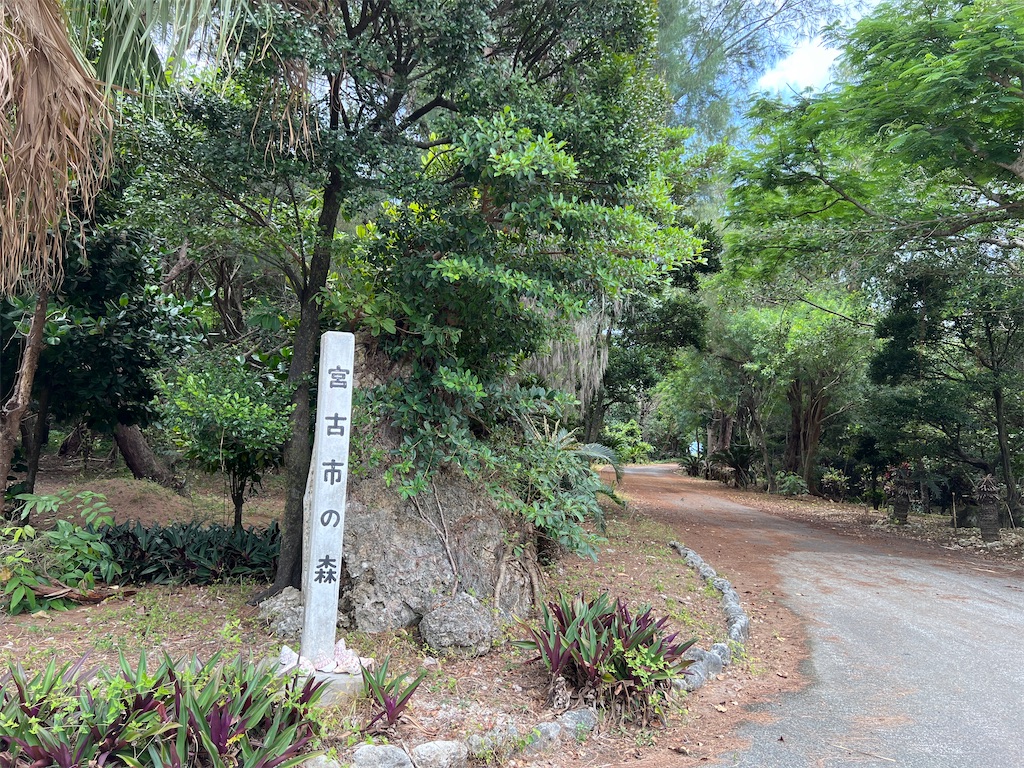 f:id:higumaiya2279:20230730121922j:image