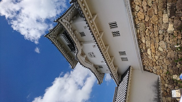 f:id:hihansuruhito:20180722095159j:image f:id:hihansuruhito:20180722095159j:image