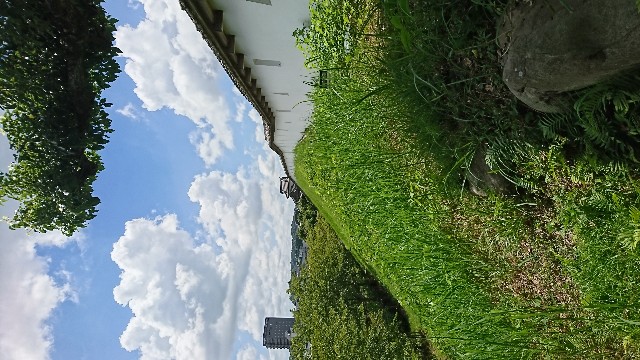 f:id:hihansuruhito:20180722095317j:image f:id:hihansuruhito:20180722095317j:image